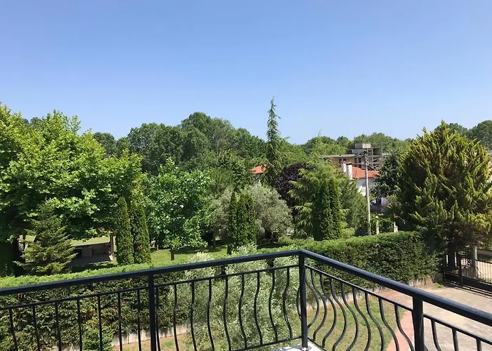 Dimeli