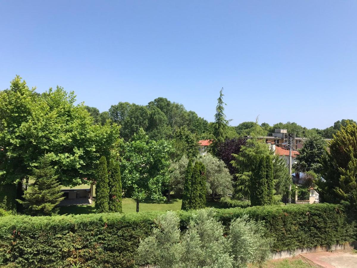 Dimeli Litochoro